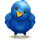 Join Us on Twitter